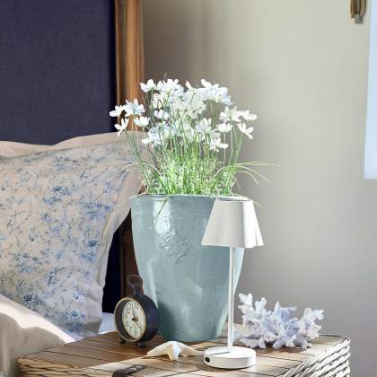 Deko-Topfpflanze Harmoise