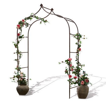 Rosenbogen DimarusRosenbogen Dimarus – Bild 6