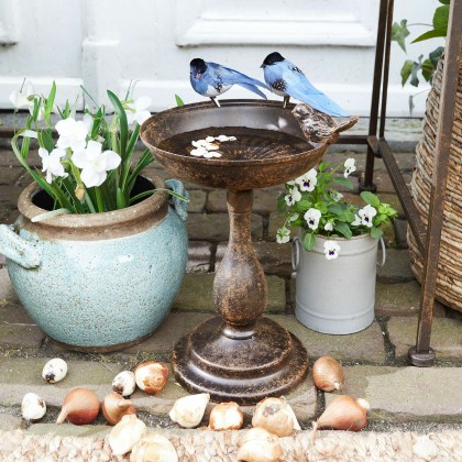 Vogeltränke BastianeVogeltränke Bastiane – Bild 4