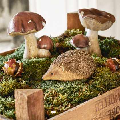 Deko-Pilz 2er Set BeenieDeko-Pilz 2er Set Beenie – Bild 5