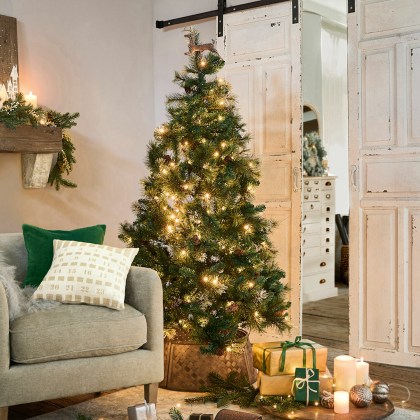 Weihnachtsbaum AureWeihnachtsbaum Aure – Bild 4