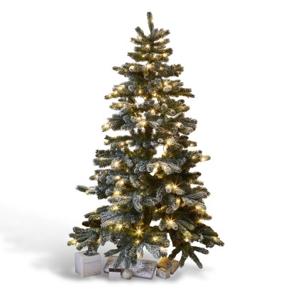 Weihnachtsbaum MannierWeihnachtsbaum Mannier – Bild 3