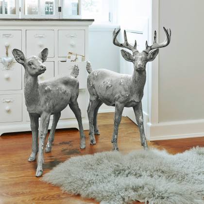 Hirsch + Reh PaslyHirsch + Reh Pasly – Bild 6