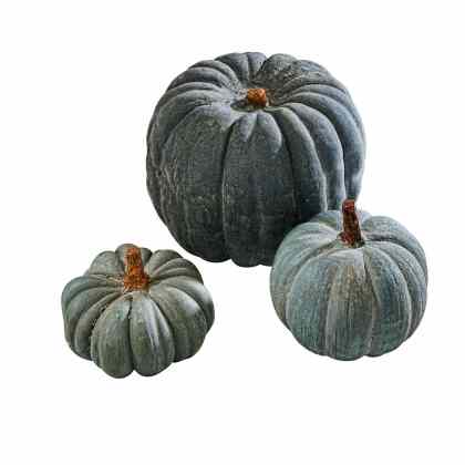 Kürbis 3er Set PumpkinKürbis 3er Set Pumpkin – Bild 3