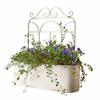 Pflanzkorb MarwinPflanzkorb Marwin – Bild 3