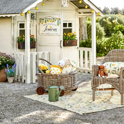 Rollwagen NarivenaRollwagen Narivena – Bild 4