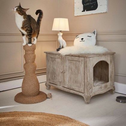 Kratzbaum FlorévineKratzbaum Florévine – Bild 4