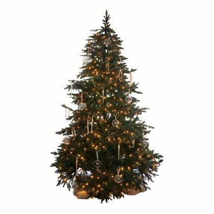 Weihnachtsbaum CelindorWeihnachtsbaum Celindor – Bild 3