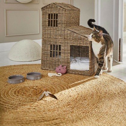 Hundepielzeug Miezmo