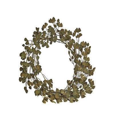 Kranz SyrdarjaKranz Syrdarja – Bild 3