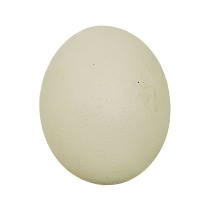 Deko-Ei FauverineDeko-Ei Fauverine – Bild 3