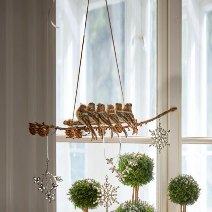 Ast mit Vögeln OrelyAst mit Vögeln Orely – Bild 4