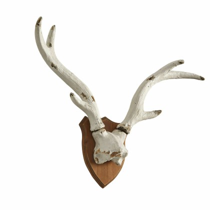 Deko-Geweih TalimDeko-Geweih Talim – Bild 3