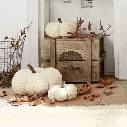 Kürbis 3er Set BenjaminKürbis 3er Set Benjamin – Bild 4