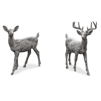 Hirsch + Reh PaslyHirsch + Reh Pasly – Bild 7