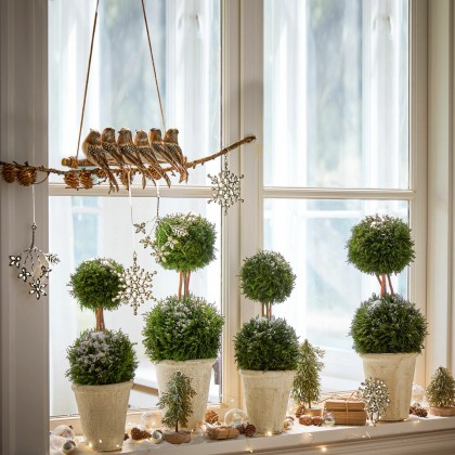 Ast mit Vögeln OrelyAst mit Vögeln Orely – Bild 5