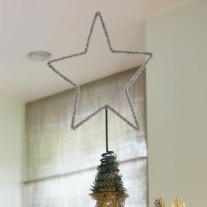 Baumspitze NobilettoBaumspitze Nobiletto – Bild 4