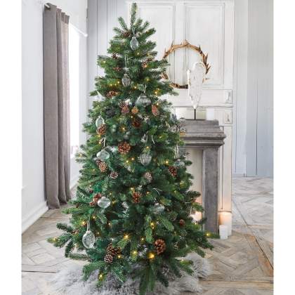 Weihnachtsbaum HelfordWeihnachtsbaum Helford – Bild 4