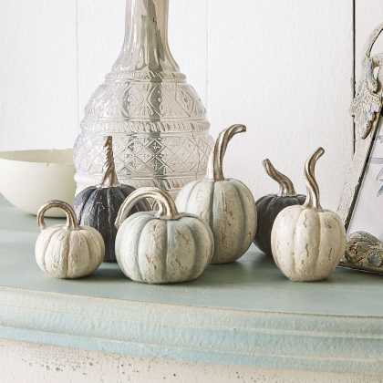 Kürbis 6er Set Yokane