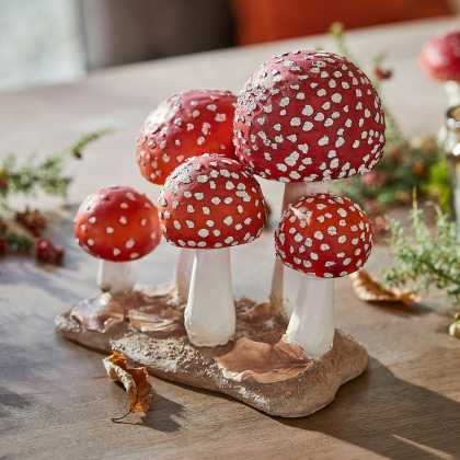 Deko-Pilze QuintelleDeko-Pilze Quintelle – Bild 5