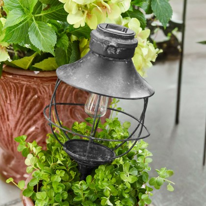 Solar-Laterne Trelonne