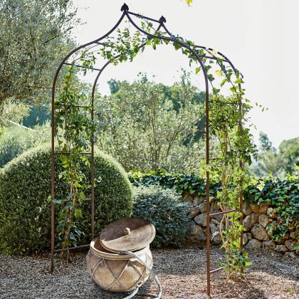 Rosenbogen DimarusRosenbogen Dimarus – Bild 7