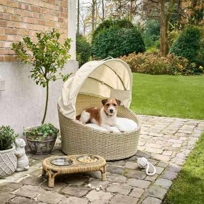 In- & Outdoor-Haustierkorb Brinelza