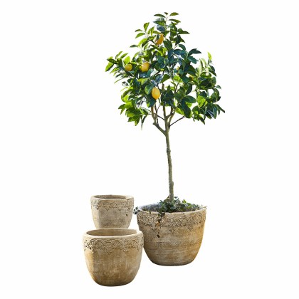 Übertopf 3er Set SerratÜbertopf 3er Set Serrat – Bild 3