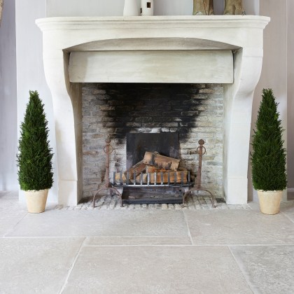 Deko-Topfpflanze Arras