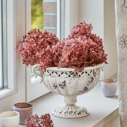 Trockenblume 3er Set AmélorieTrockenblume 3er Set Amélorie – Bild 4