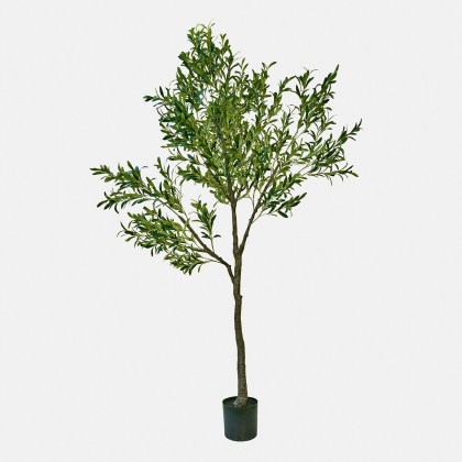 Deko-Olivenbaum FaeliraDeko-Olivenbaum Faelira – Bild 3