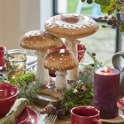 Deko-Pilze HarvelleDeko-Pilze Harvelle – Bild 5