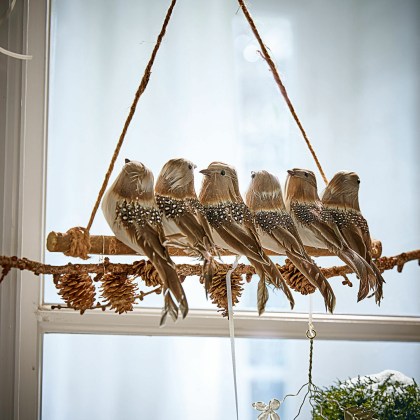 Ast mit Vögeln OrelyAst mit Vögeln Orely – Bild 4