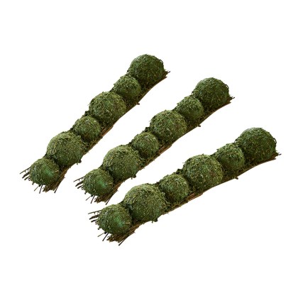 Moos-Tischdekoration Cassiola