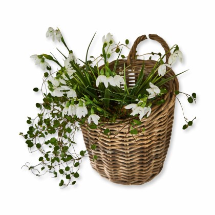 Korb KorovuKorb Korovu – Bild 3