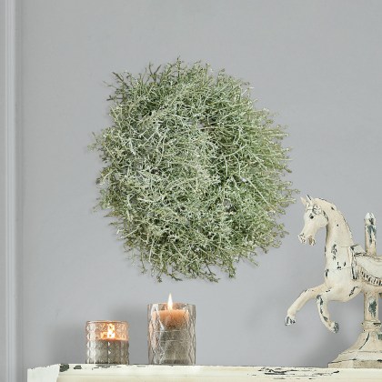 Kranz SenaillyKranz Senailly – Bild 4