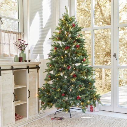 Weihnachtsbaum BindleyWeihnachtsbaum Bindley – Bild 4