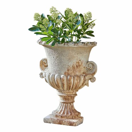 Amphore CevioAmphore Cevio – Bild 3