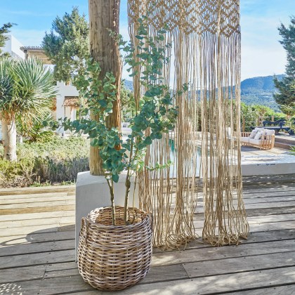 Deko-Topfpflanze DoreviDeko-Topfpflanze Dorevi – Bild 4