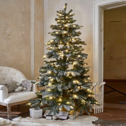 Weihnachtsbaum MannierWeihnachtsbaum Mannier – Bild 5