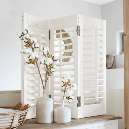 Shutter VenturaShutter Ventura – Bild 4