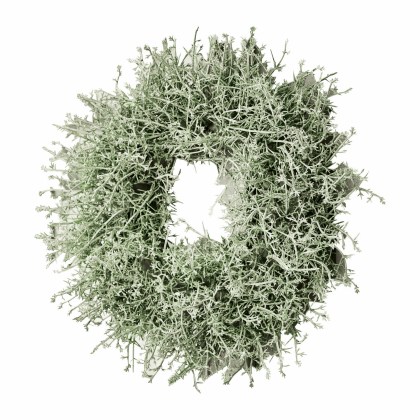 Kranz SenaillyKranz Senailly – Bild 3