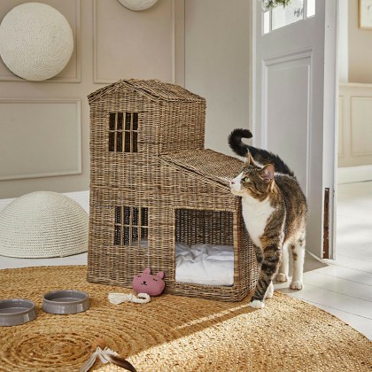 Katzenhaus RavndaKatzenhaus Ravnda – Bild 5