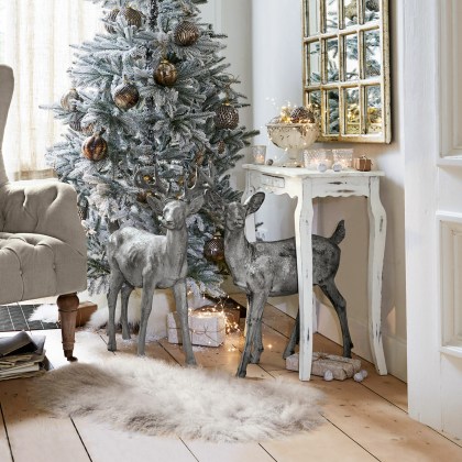 Hirsch + Reh PaslyHirsch + Reh Pasly – Bild 9