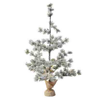 Weihnachtsbaum Falkirk