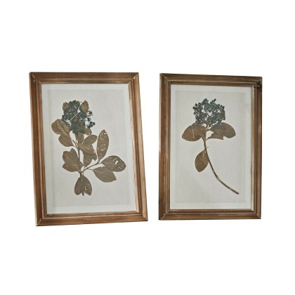 Bild 2er Set TanneauBild 2er Set Tanneau – Bild 3