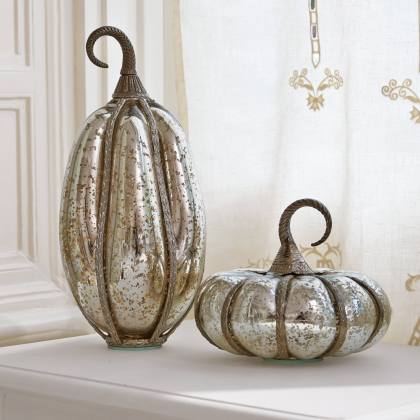 Kürbis 2er Set KiyoKürbis 2er Set Kiyo – Bild 4