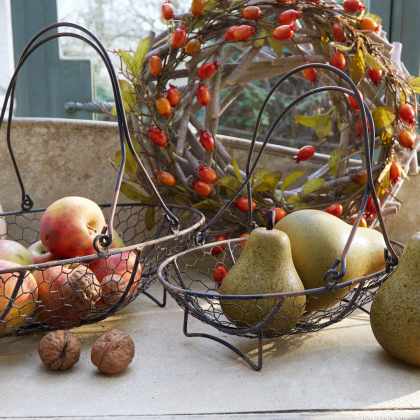 Kranz MauriacKranz Mauriac – Bild 2