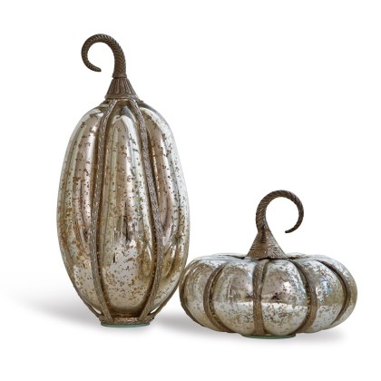 Kürbis 2er Set KiyoKürbis 2er Set Kiyo – Bild 3