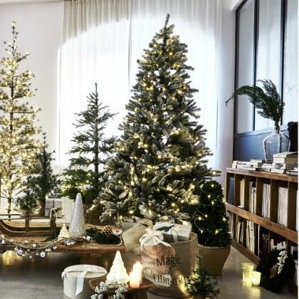 Weihnachtsbaum MannierWeihnachtsbaum Mannier – Bild 4